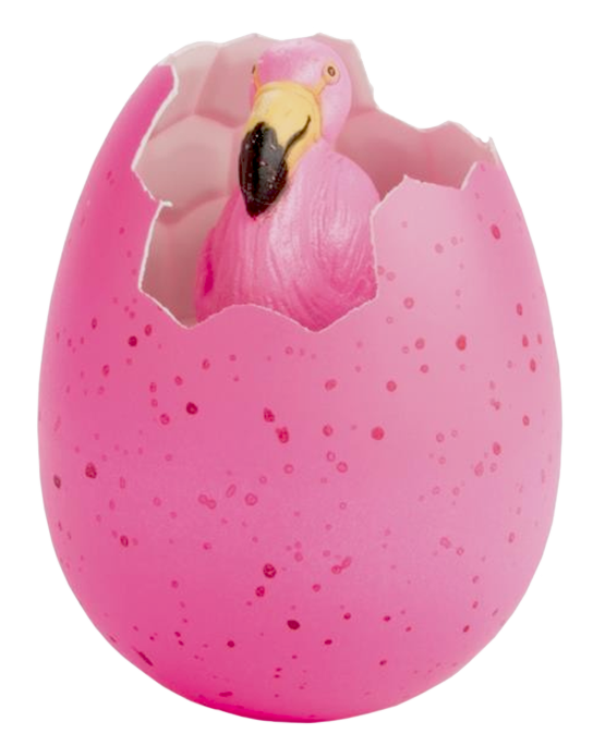 Flamingo Groei Ei