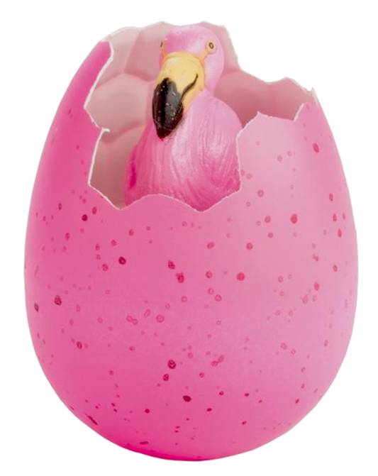 Flamingo Groei Ei