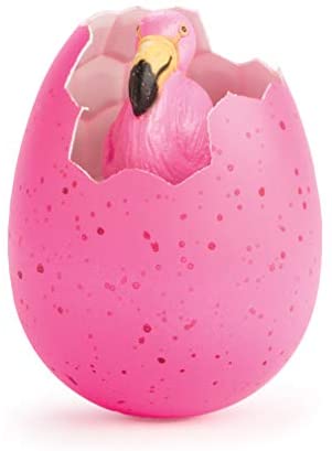 Flamingo Groei Ei