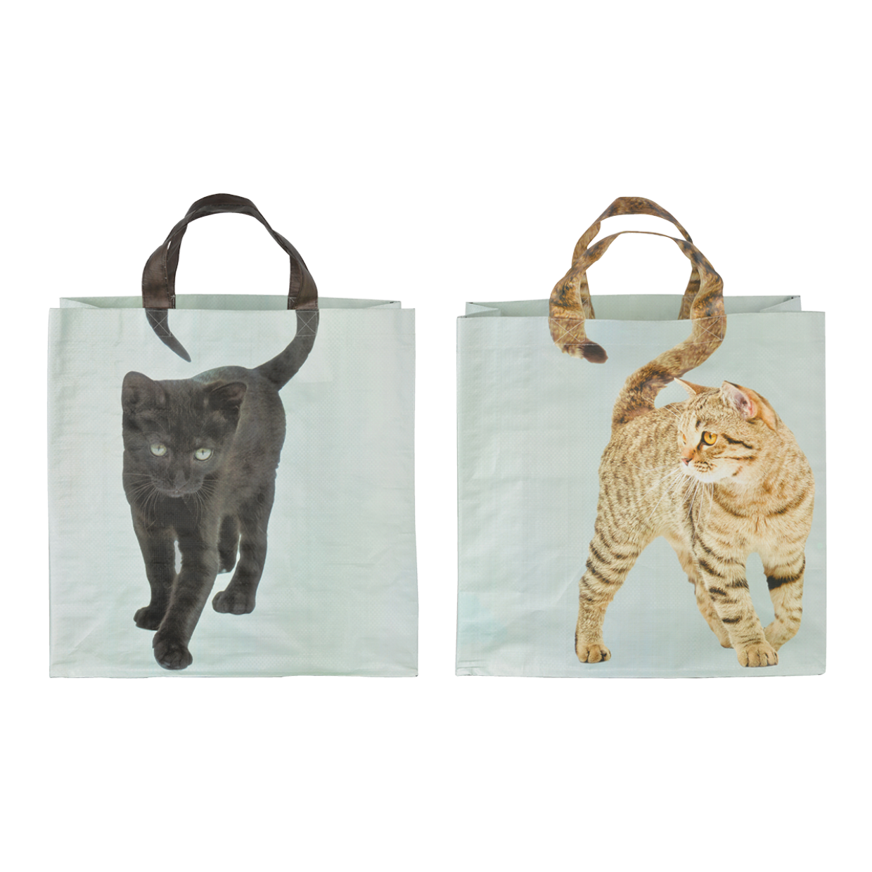 Boodschappentas Katten
