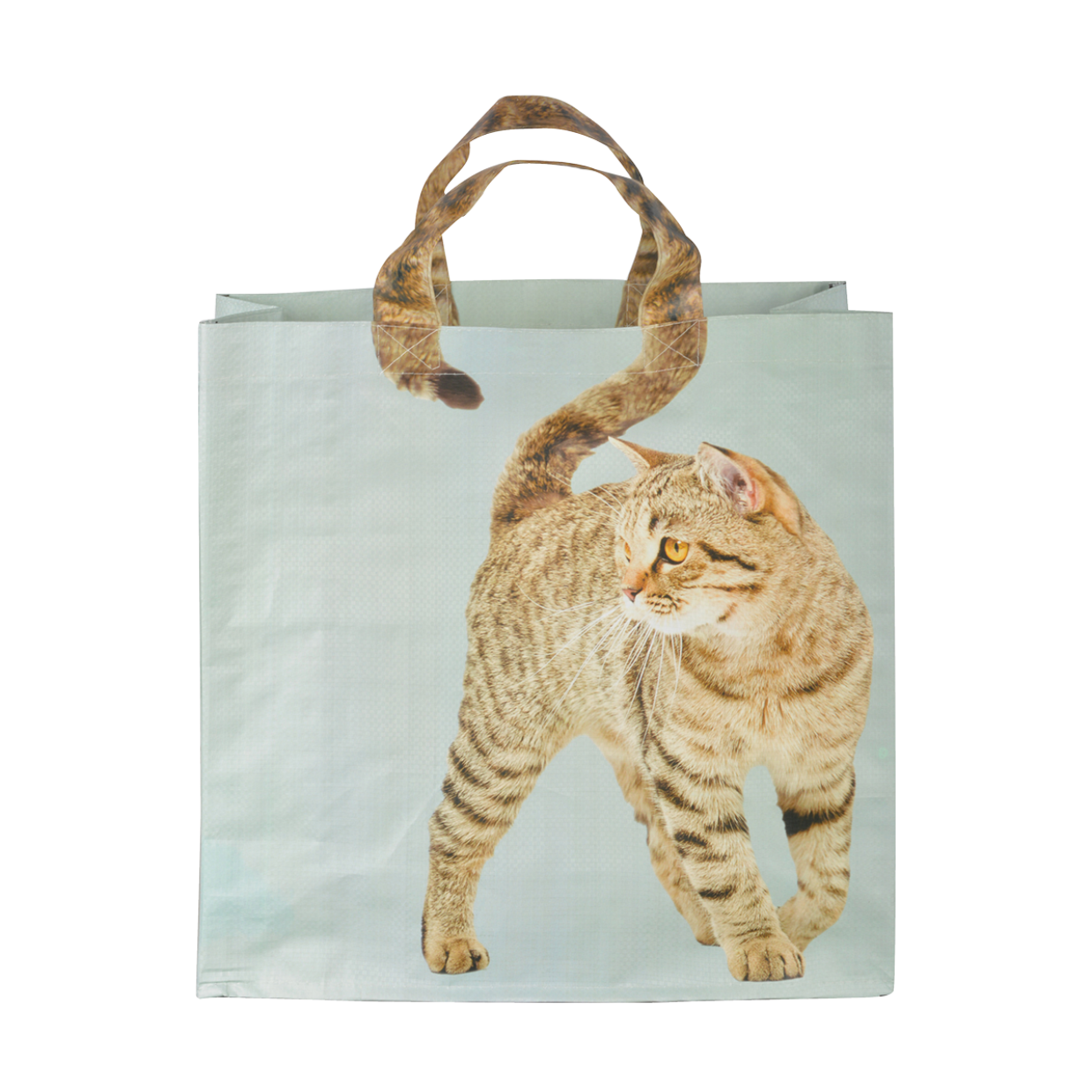 Boodschappentas Katten