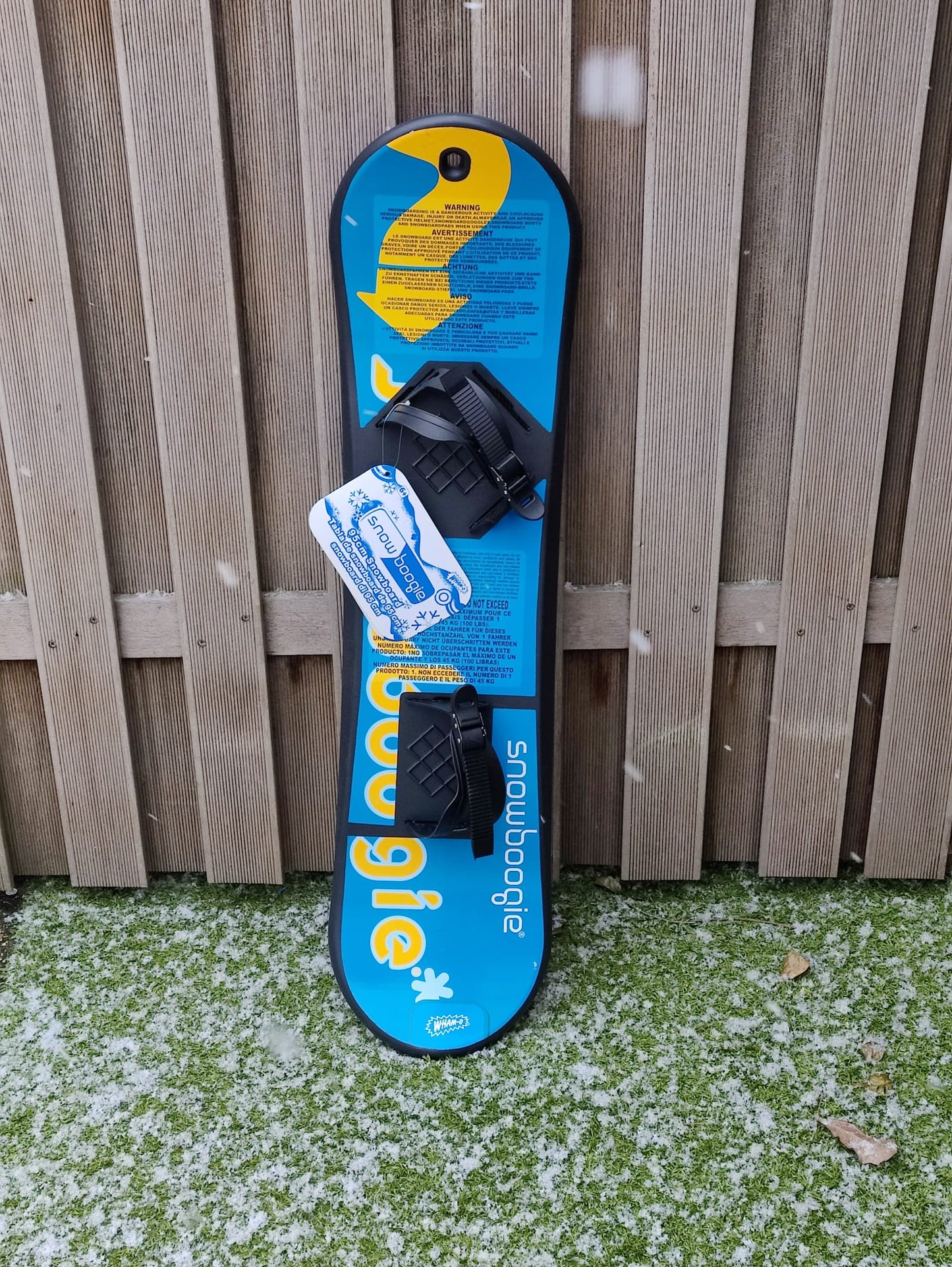 Snowboard