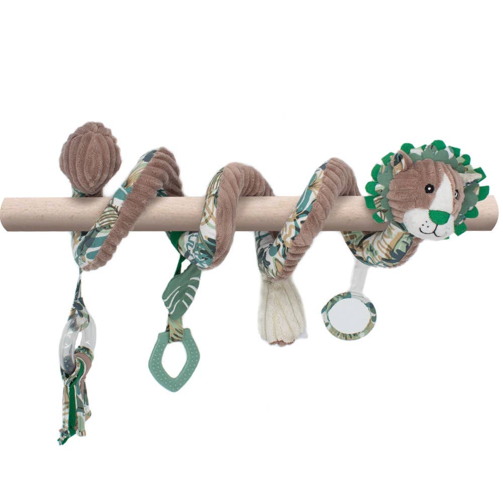 Jelekros de leeuw - Activiteiten Spiraal