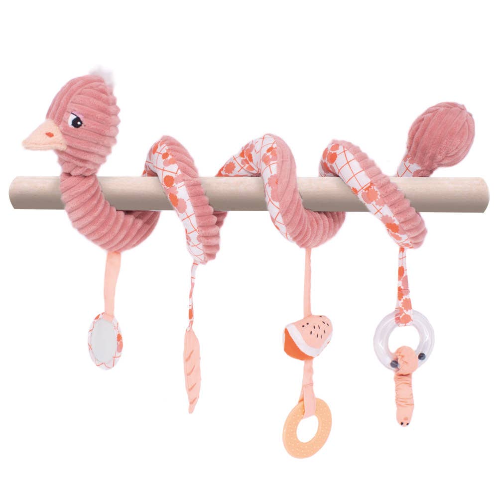 Pomelos de Struisvogel - Activiteiten Spiraal