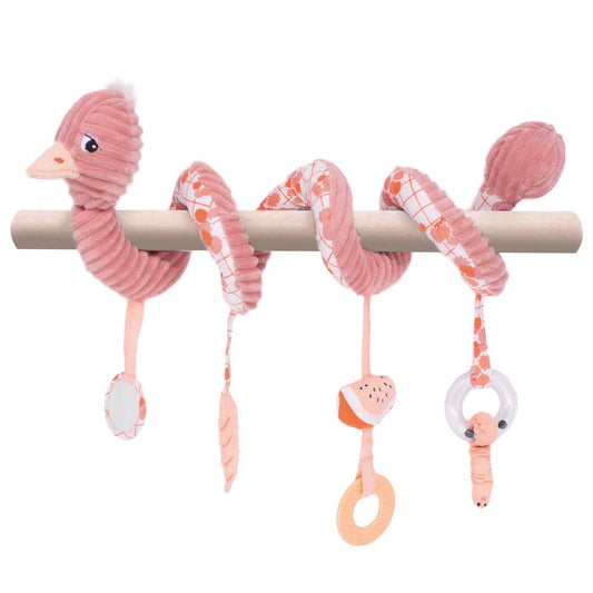 Pomelos de Struisvogel - Activiteiten Spiraal