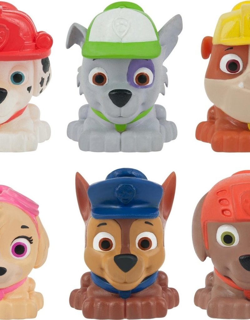 Paw Patrol Squeeze Lichtje