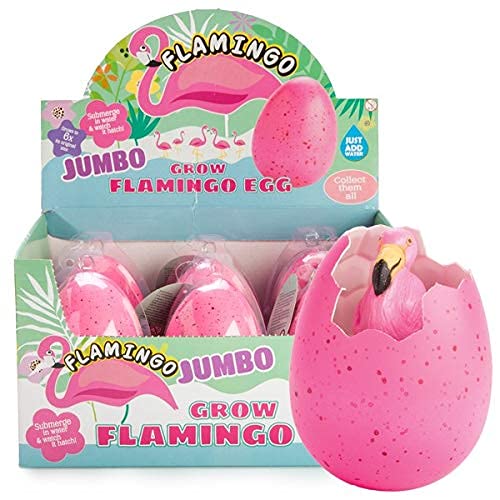 Flamingo Groei Ei